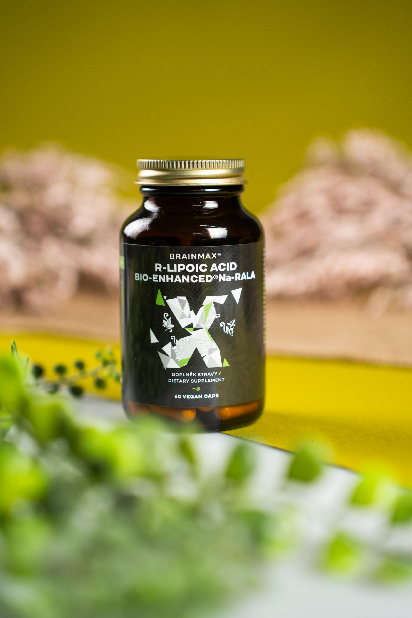 BrainMax Bio-Enhanced® Na-RALA, aktivní kyselina lipoová, 60 rostlinných kapslí Obrázek