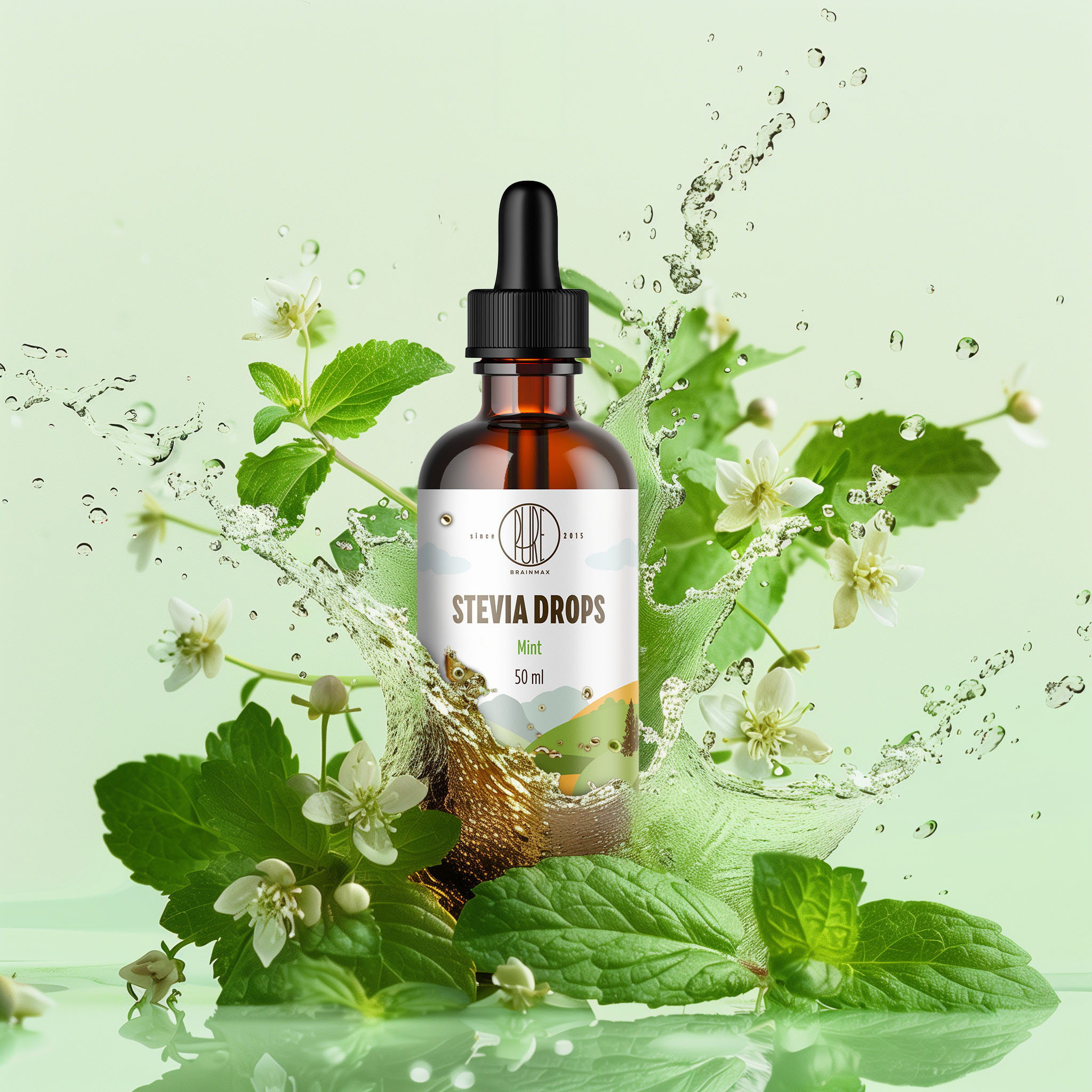 BrainMax Pure Stevia drops, Stévie kapky, různé druhy, 50 ml Příchuť: Máta Obrázek