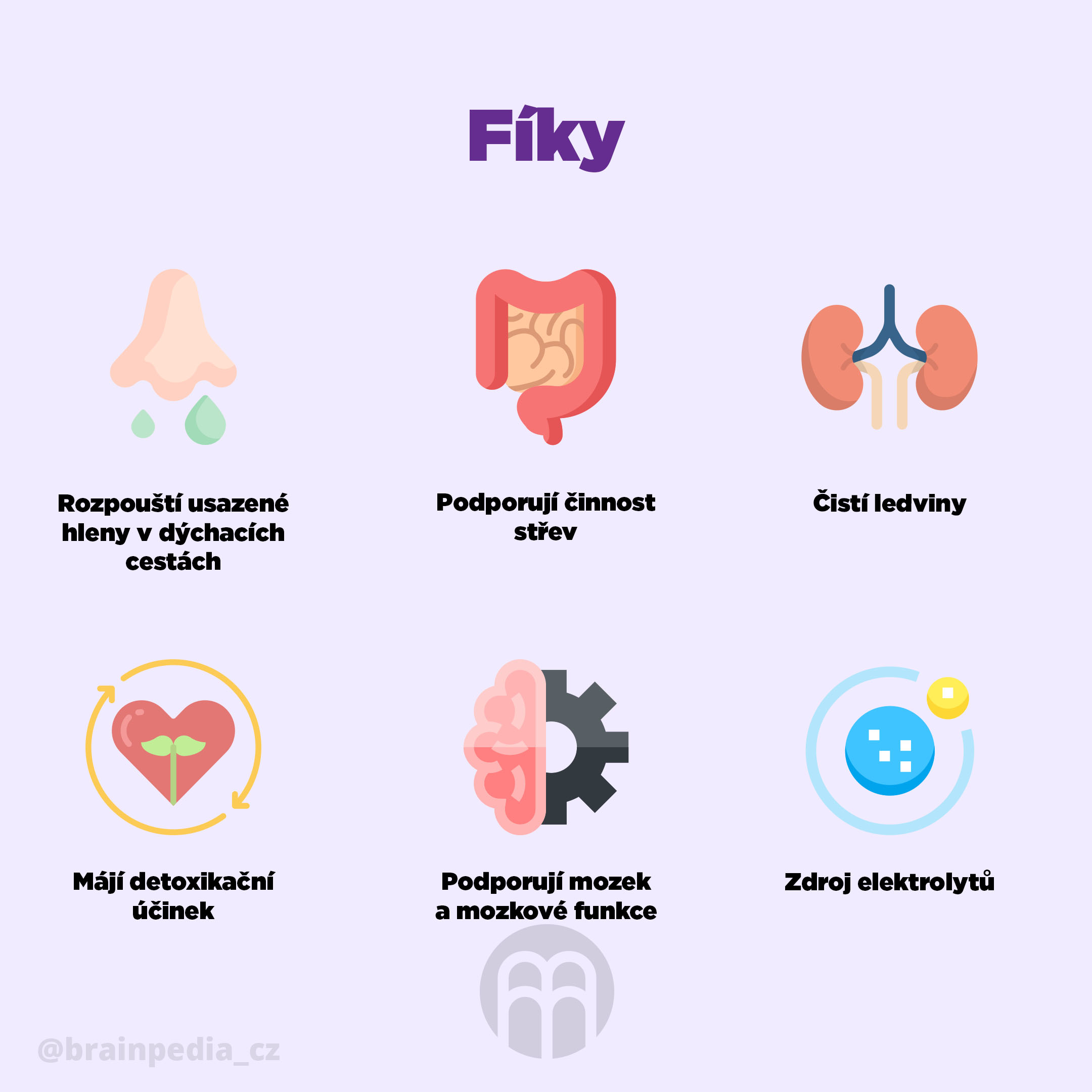 BrainMax Pure Fíky sušené - celé BIO, 250 g Obrázek