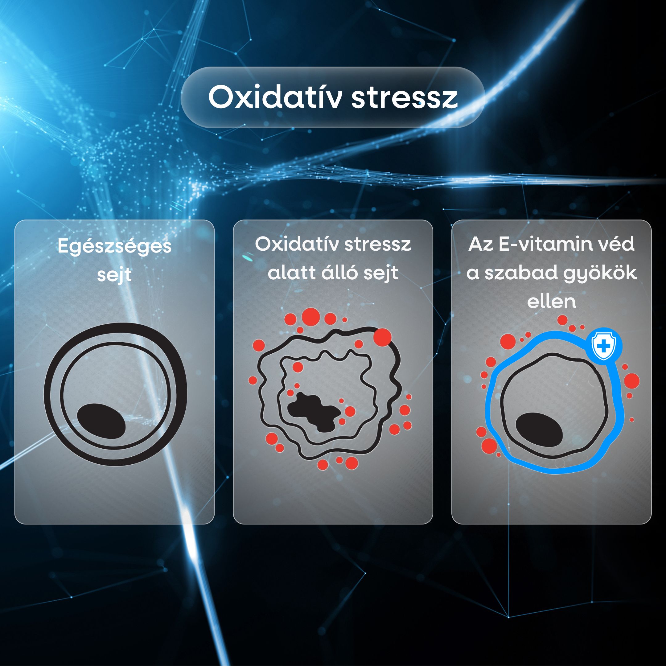 BrainMax Best Vitamin E Complex, 90 rostlinných kapslí Obrázek