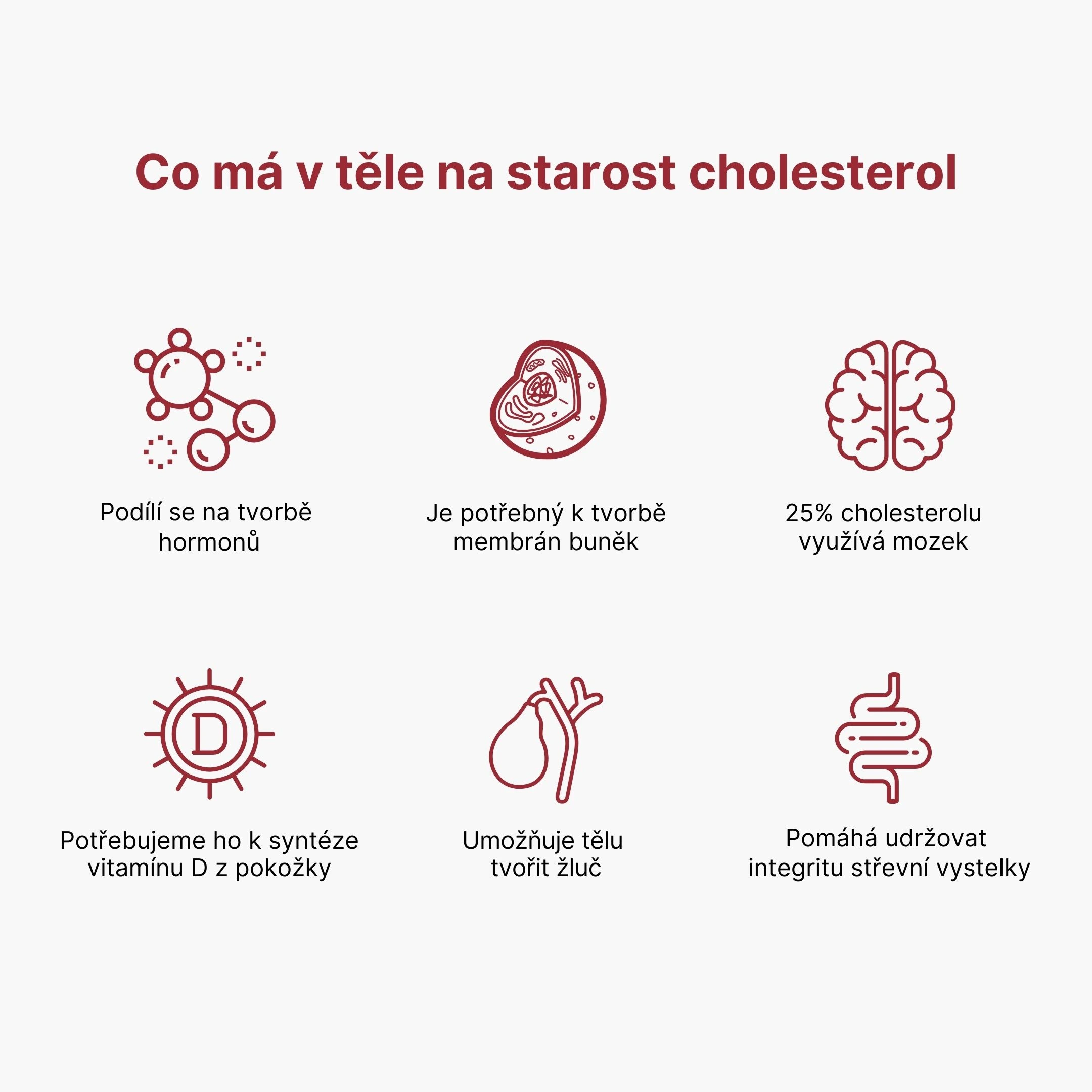 Vinařství Bystřický - Zweigeltrebe 2020 Obrázek