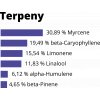 cebed terpeny brainmax night