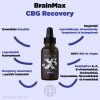 cbg recovery infografika brainmarket hu