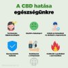 vliv cebede na nase zdravi infografika brainmarket hu