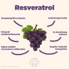 resveratrol brainmarket infografika hu