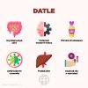 datle infografika brainpedia cz