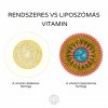 prirodni vs synteticky vitamin C hu