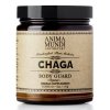 48640 anima mundi chaga 141 gramu