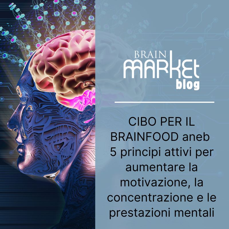 BRAINFOOD ovvero 5 sostanze efficaci per aumentare la motivazione, la concentrazione e le prestazioni mentali