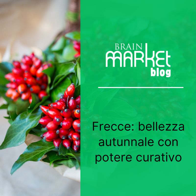 Bacche di rosa canina: Bellezza autunnale con potere curativo