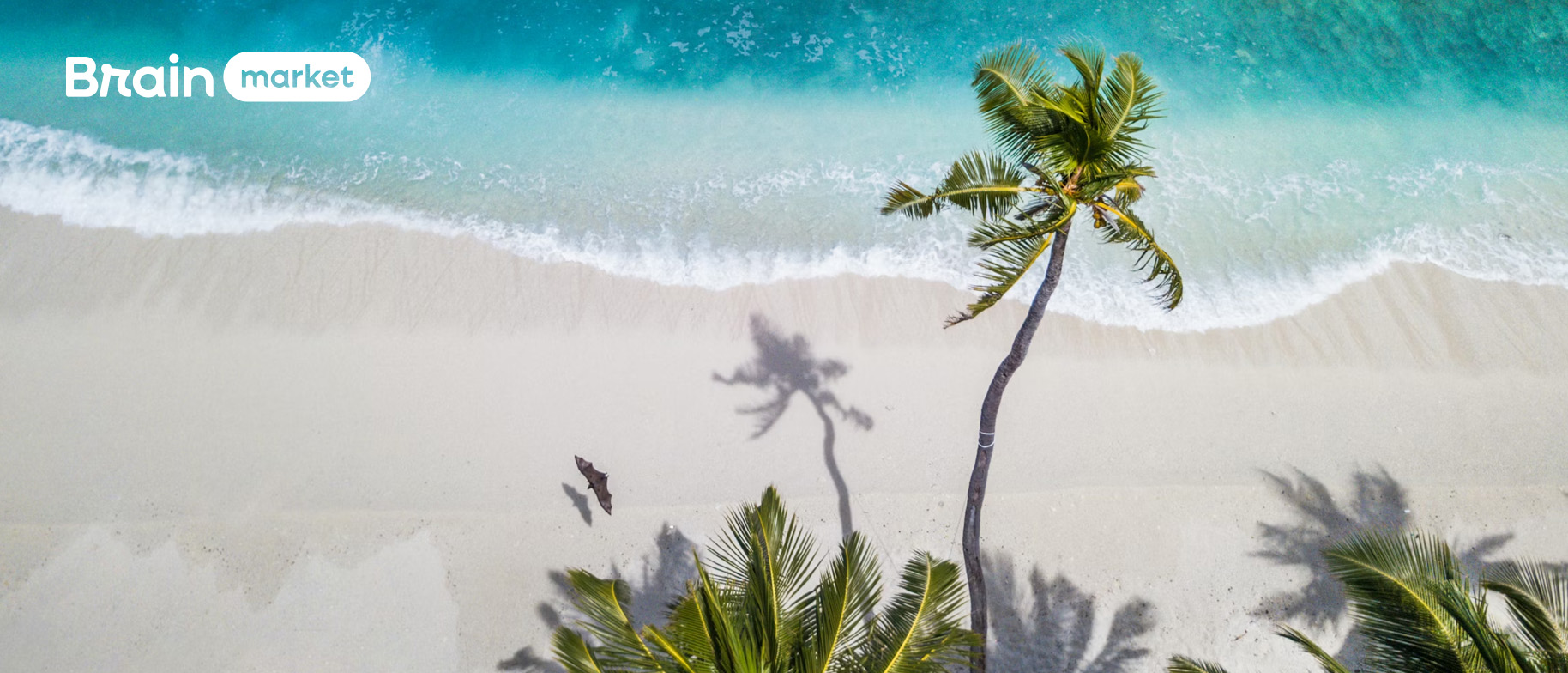 Problemi digestivi durante il viaggio: Cosa portare in vacanza?