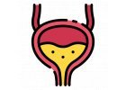Micosi del tratto urinario e della vagina