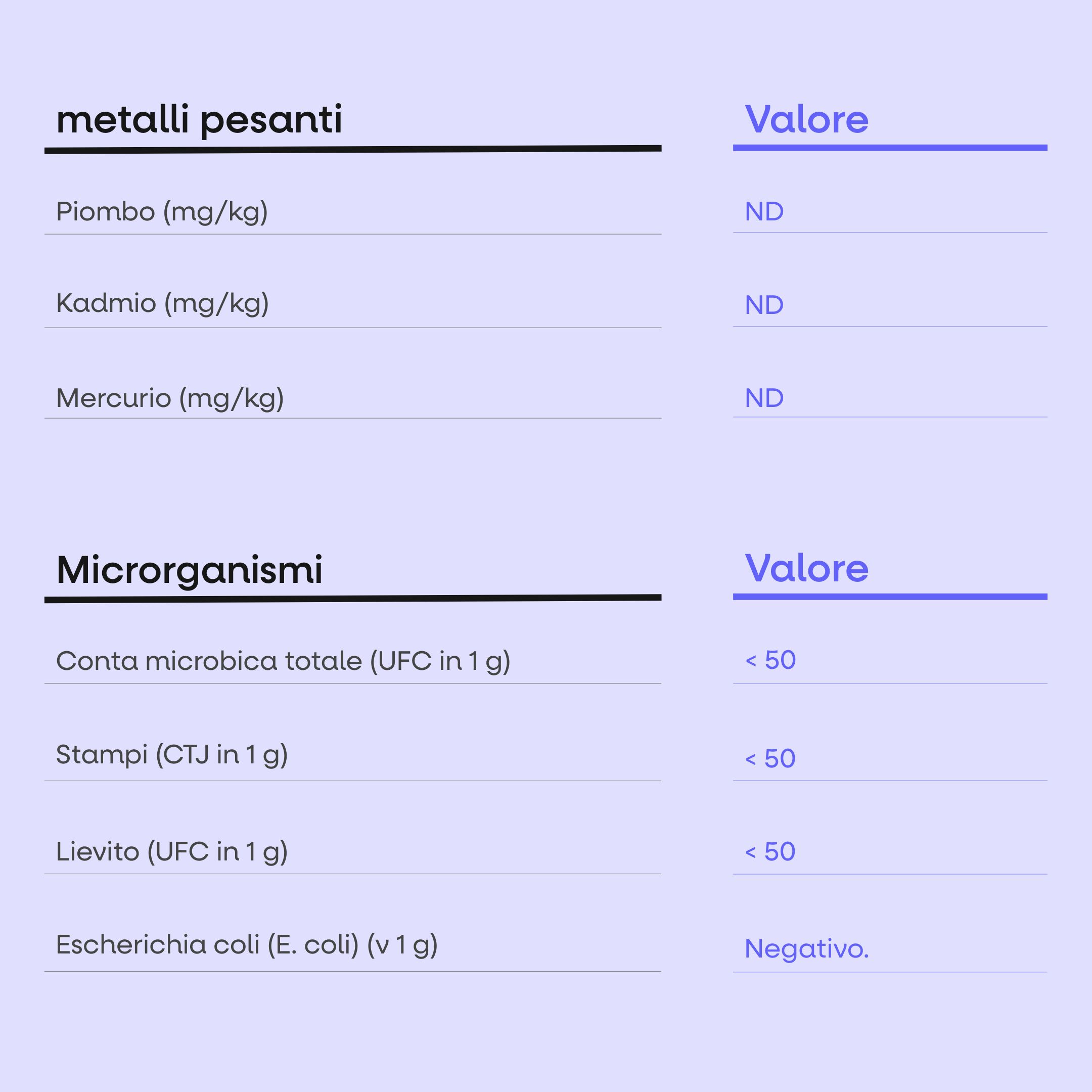 (Italština) - 2025-08-05T101848.056
