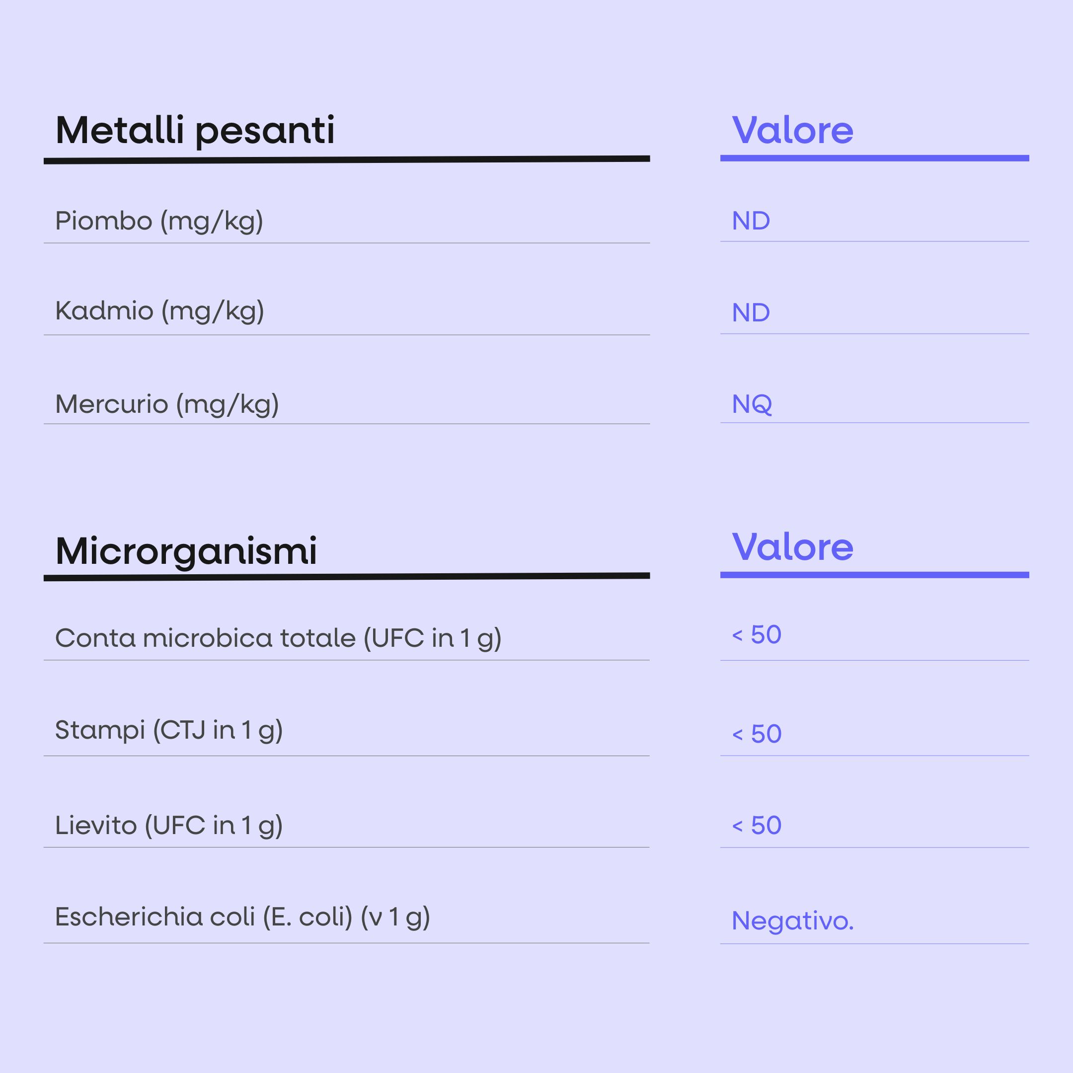 (Italština) - 2025-08-20T102626.331