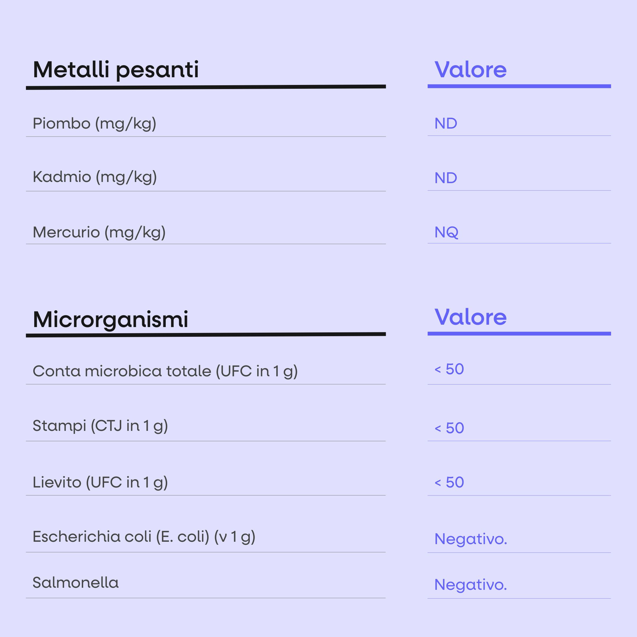 (Italština) - 2025-08-19T124418.624
