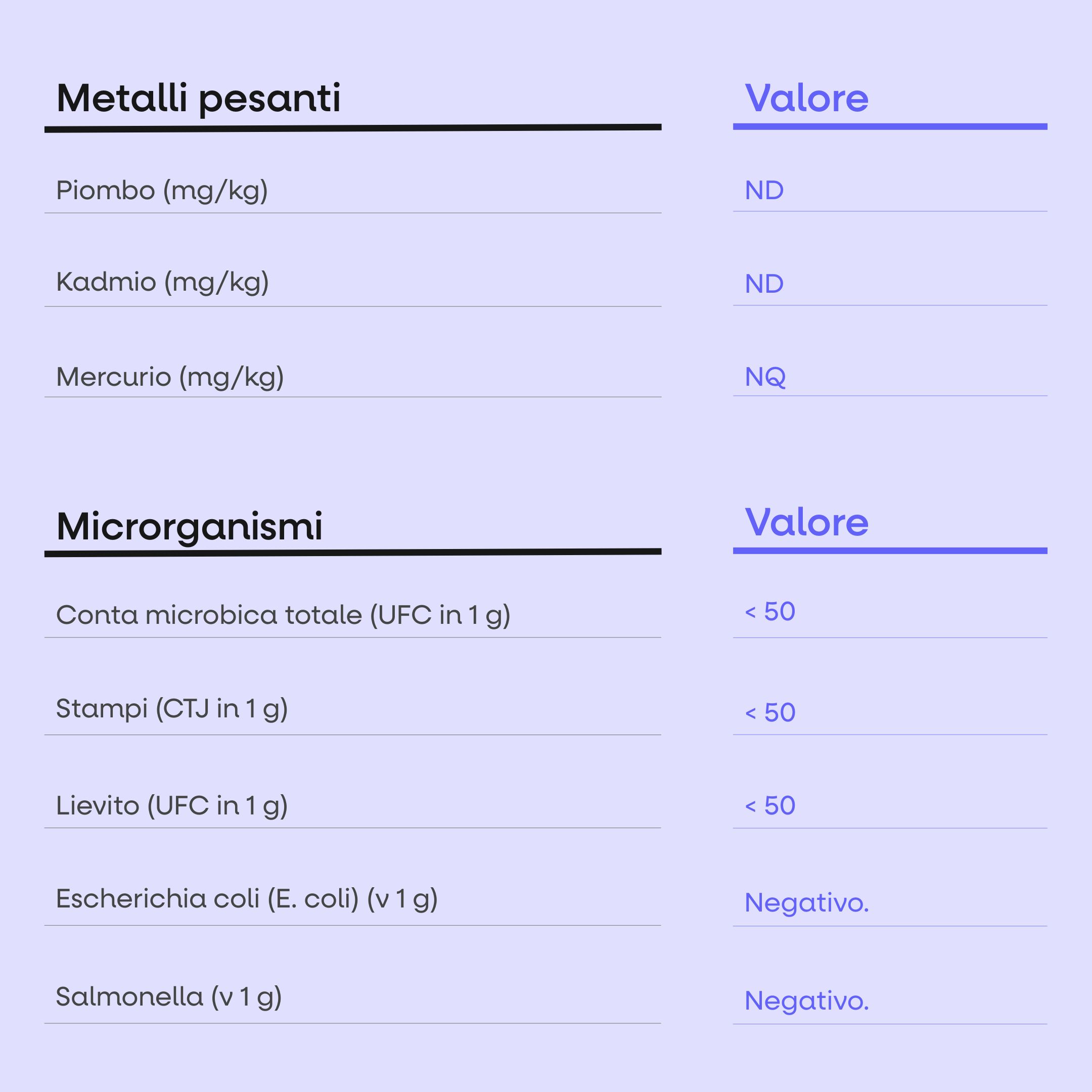 (Italština) - 2025-08-15T115052.511