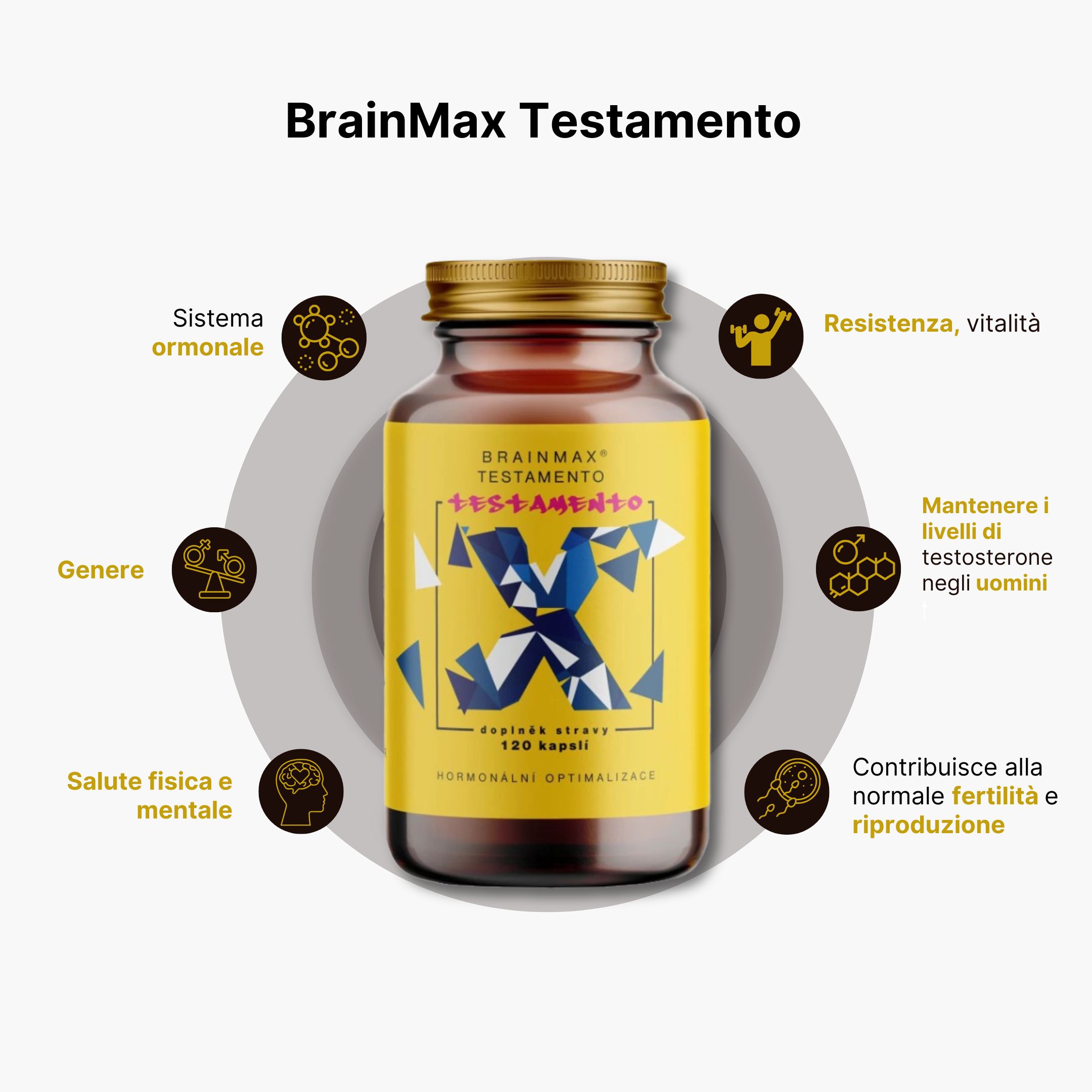 infografica testamento