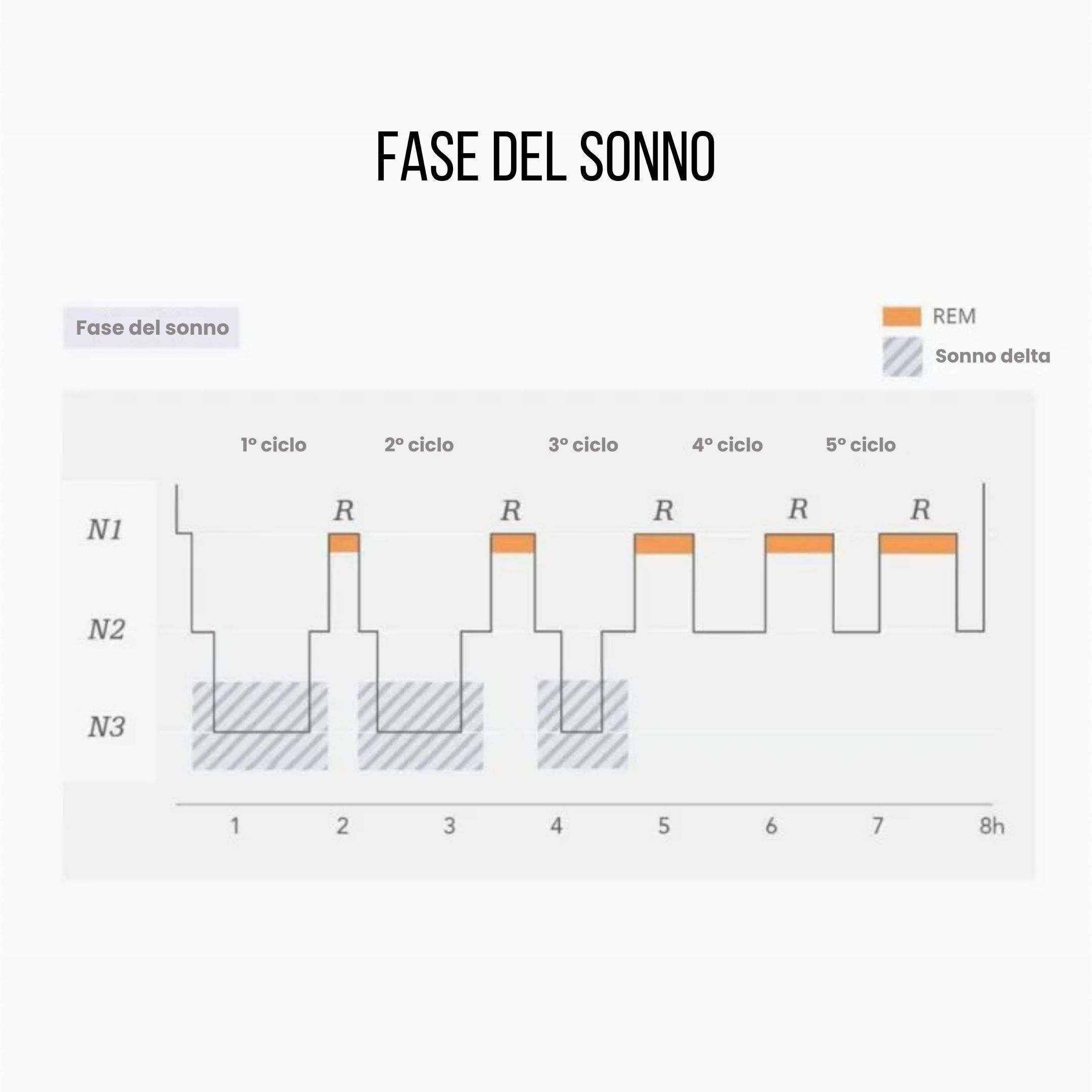 (Italština) Faze spánku