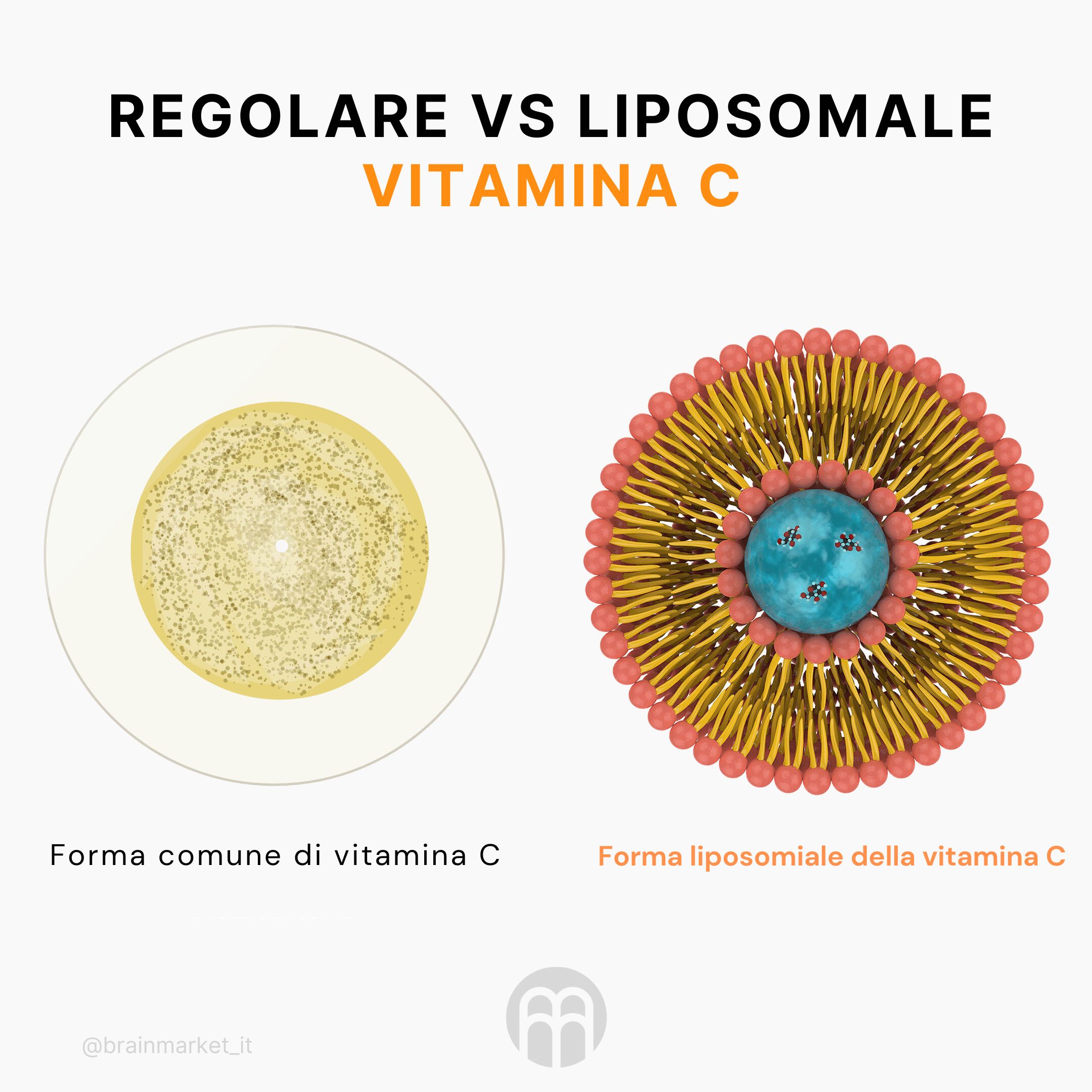regolare vs lipo