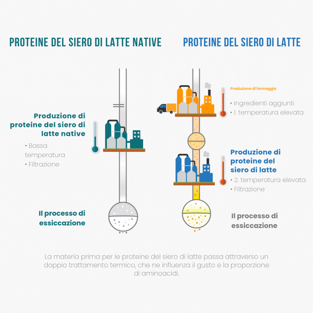 Vyroba proteinu_1_bez pozadi_cz