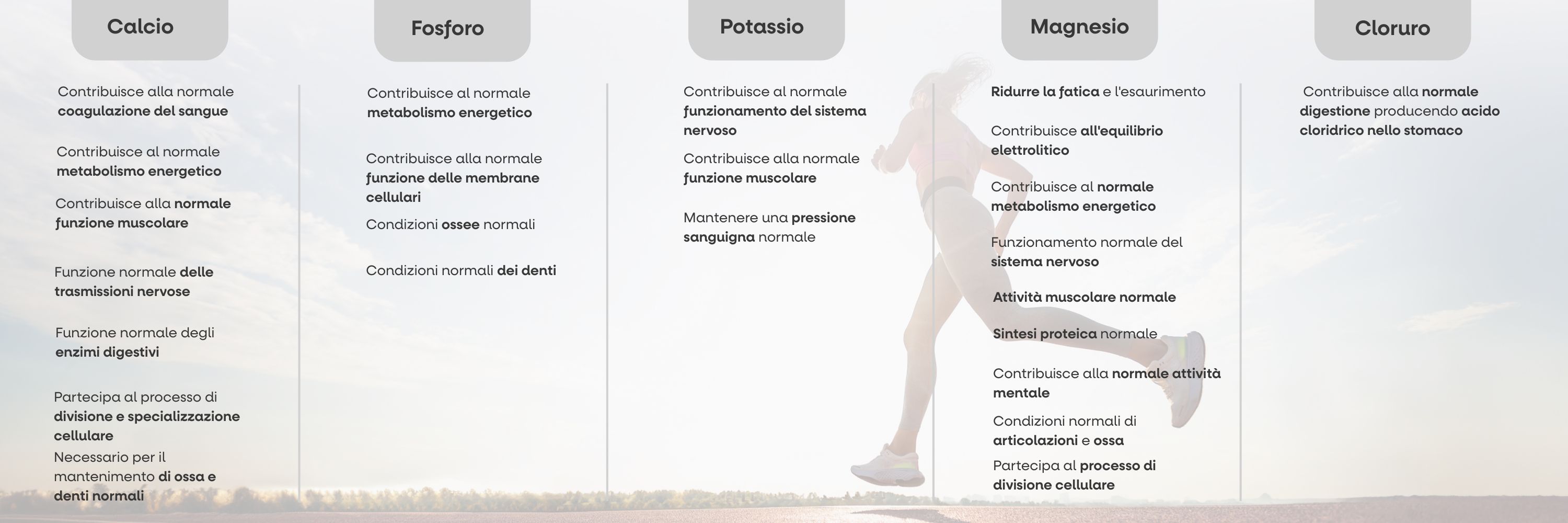 Performance Amino Electrolytes Complex, EAA + Elektrolyty