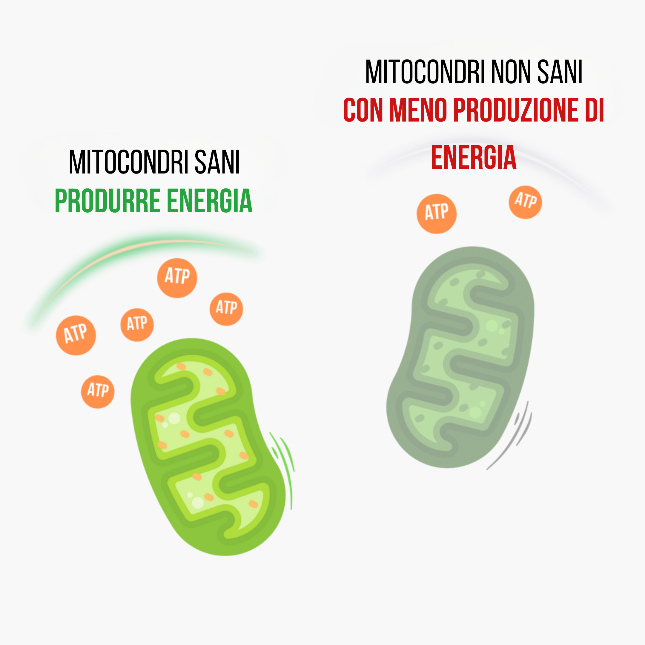 (Italština)