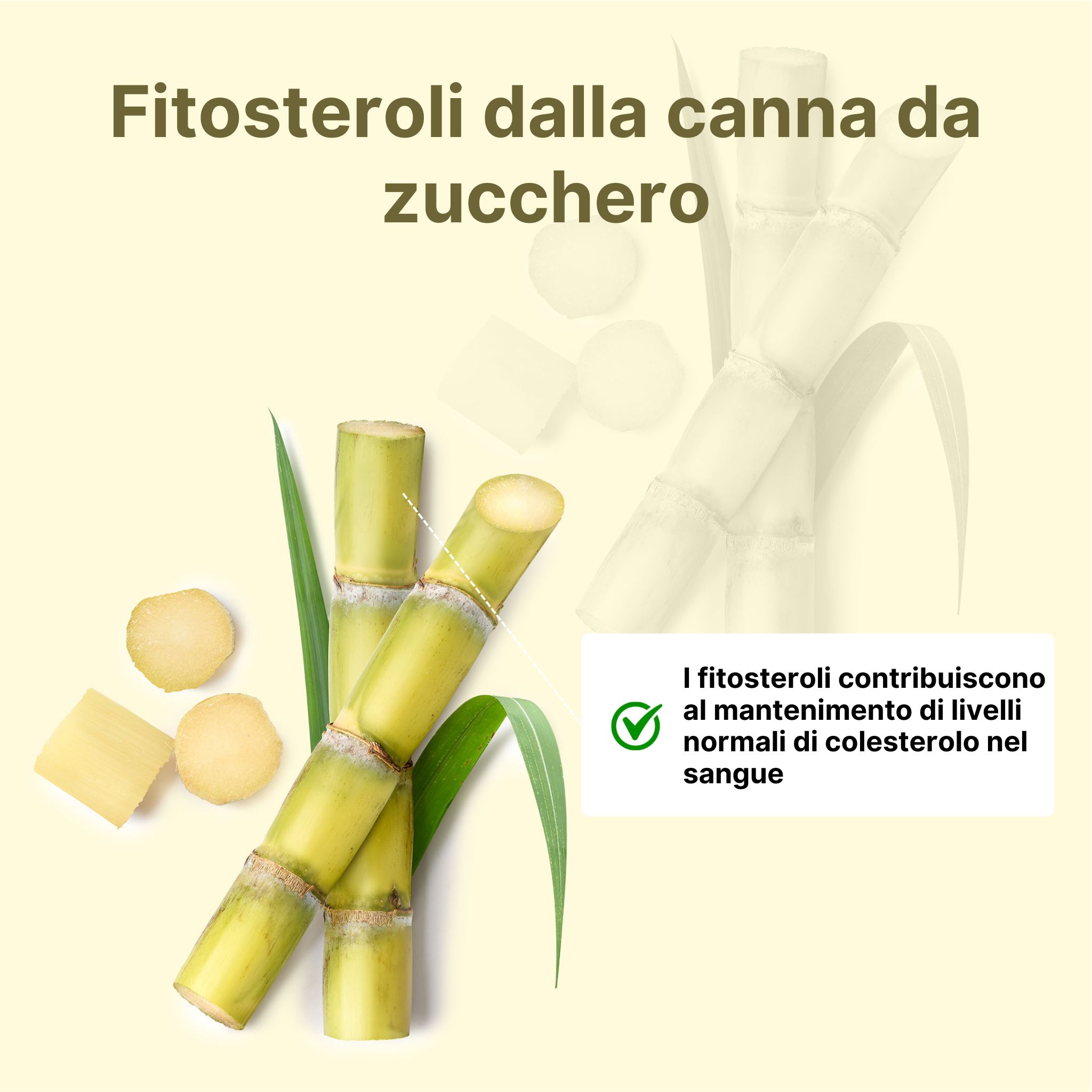 (Italština) (7) (kopie 3)