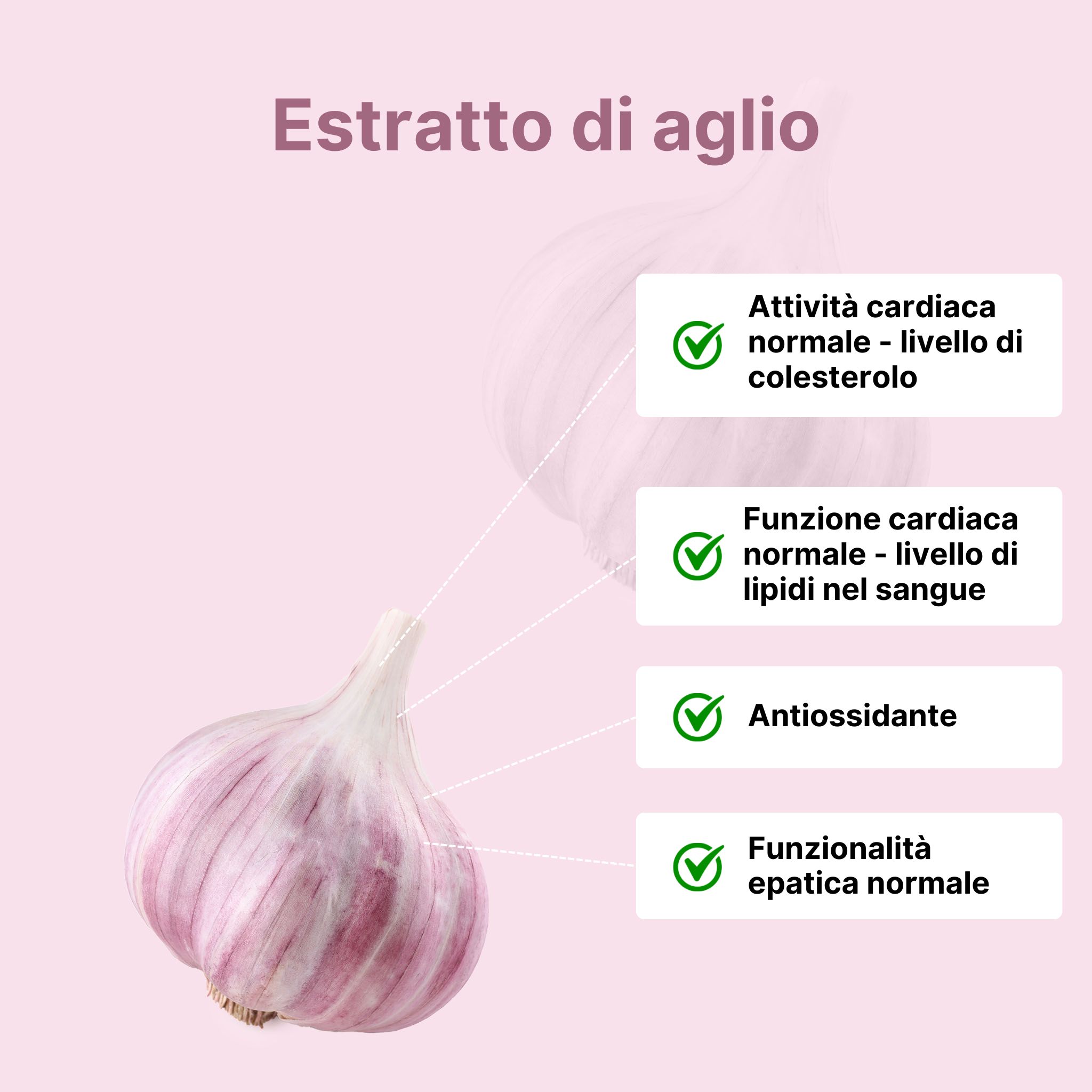 (Italština) (7) (kopie 4)