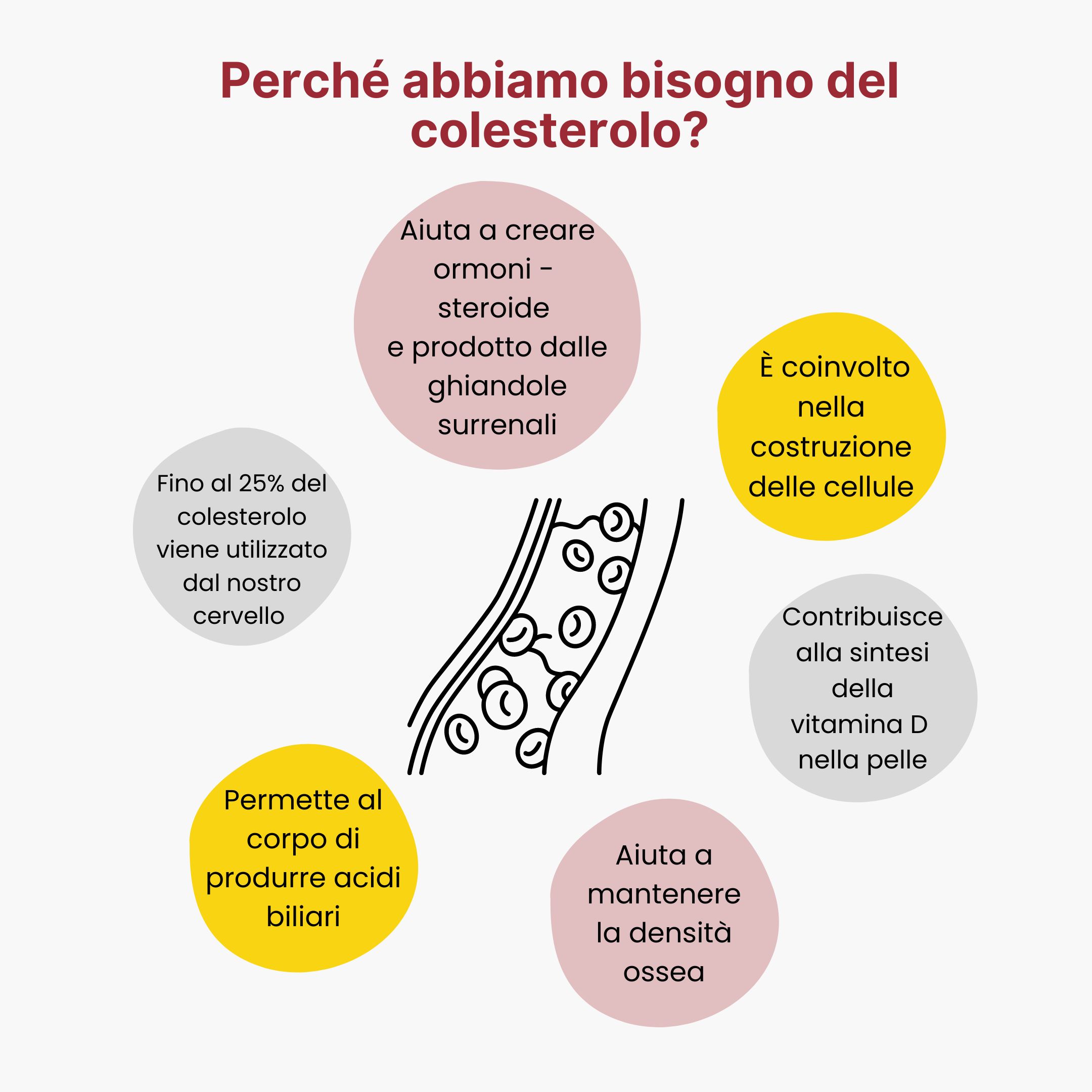 (Italština) Proč potřebujeme cholesterol