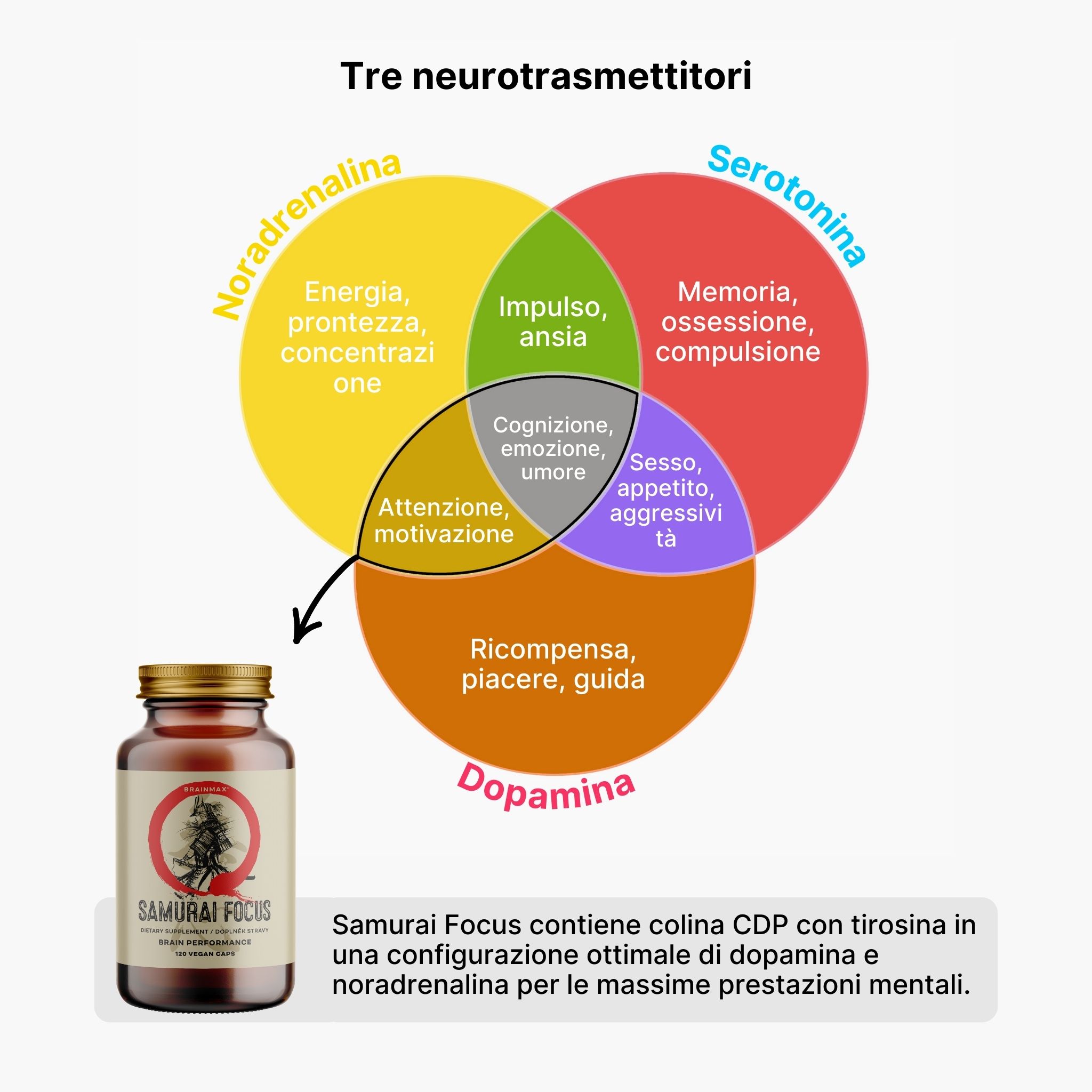 (Italština) (7) (kopie 2)