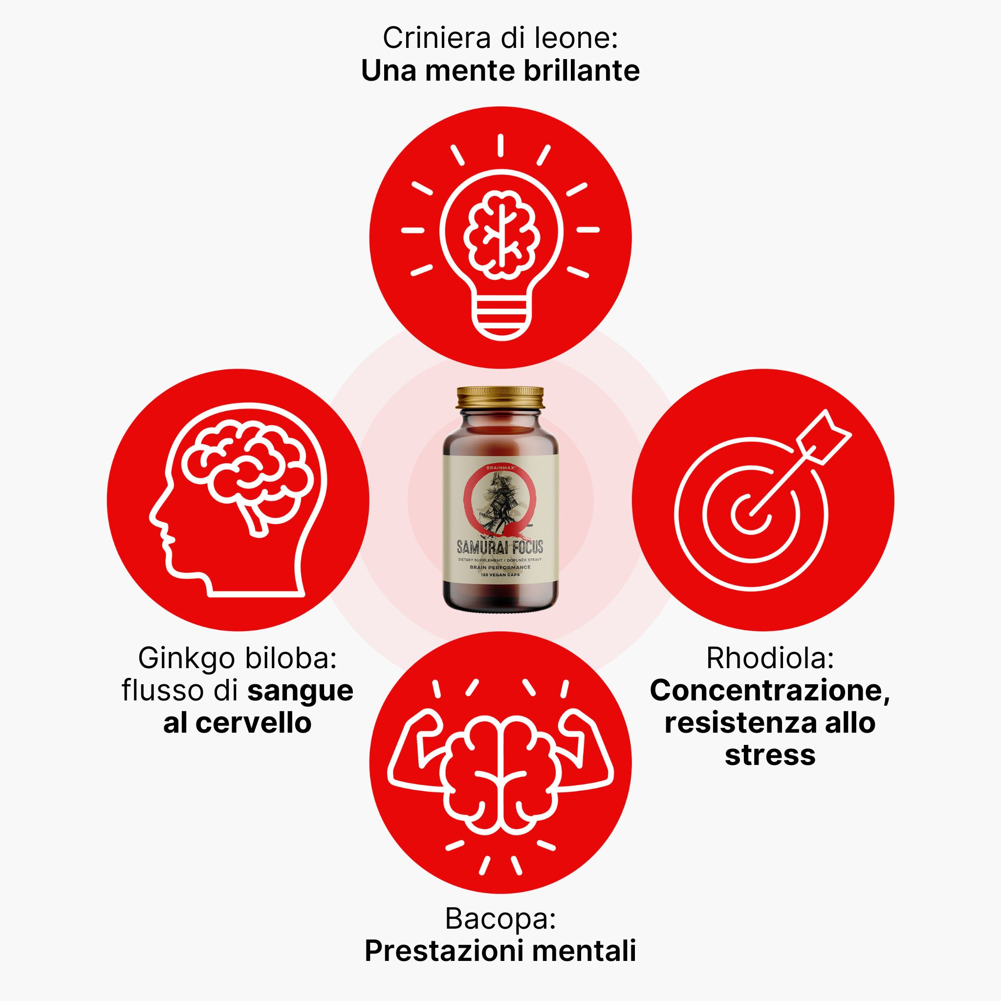 (Italština) (7) (kopie 5)