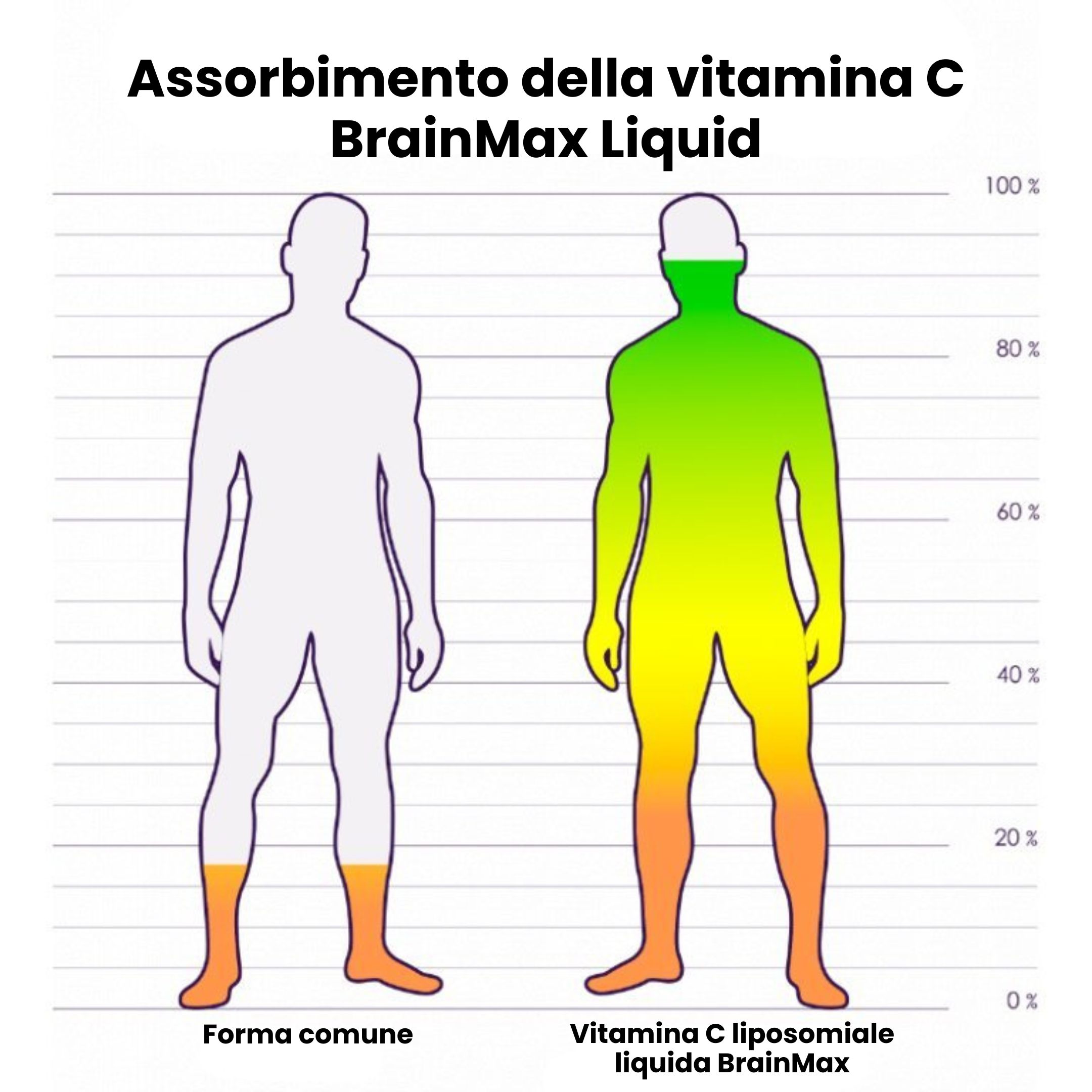 (Italština) (3) copy 5