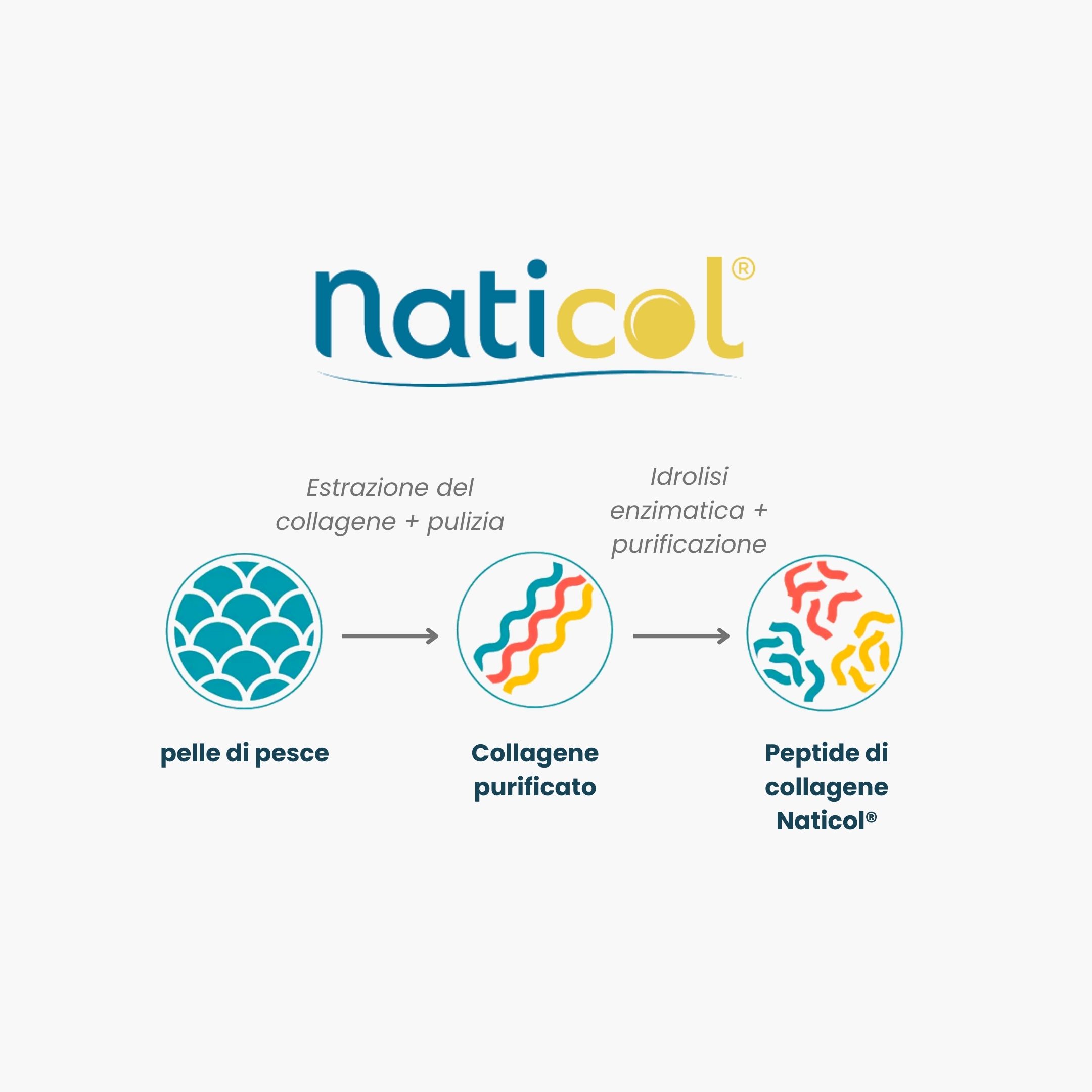 (Italština) Naticol (kopie 2)