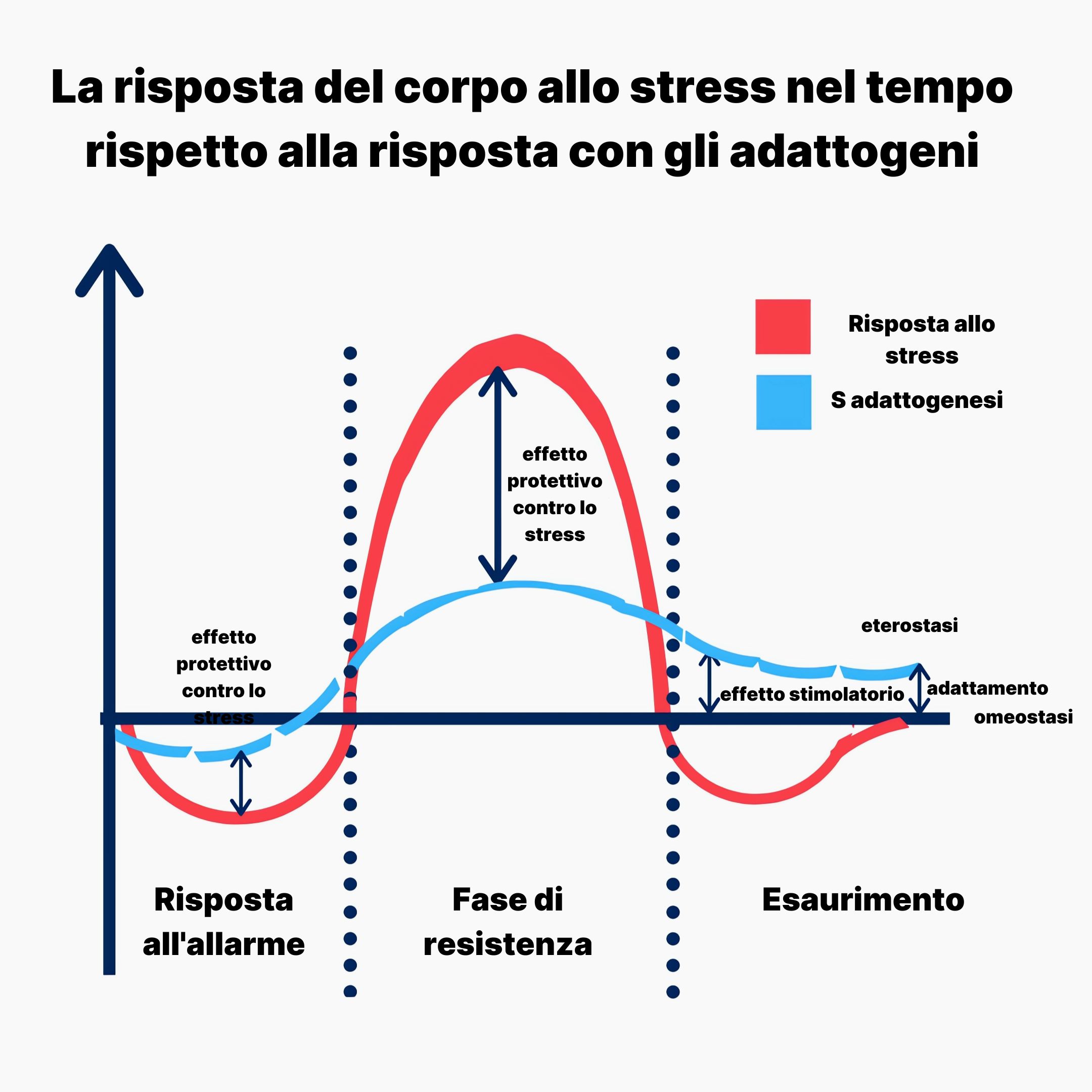 (Italština)