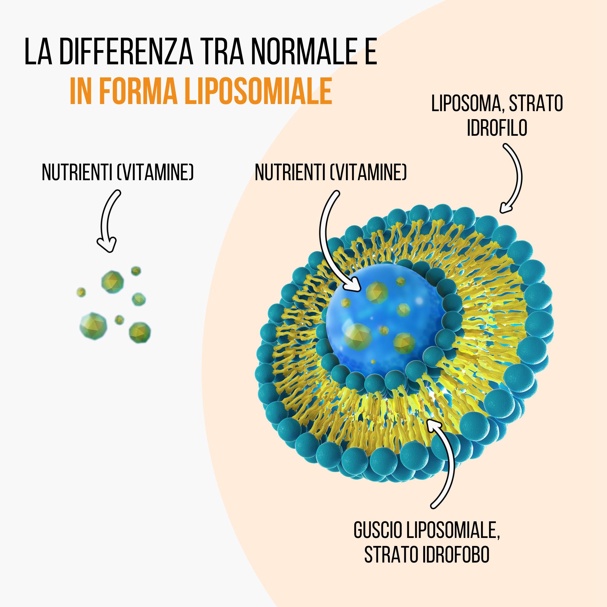 (Italština) lipo vs bezna forma