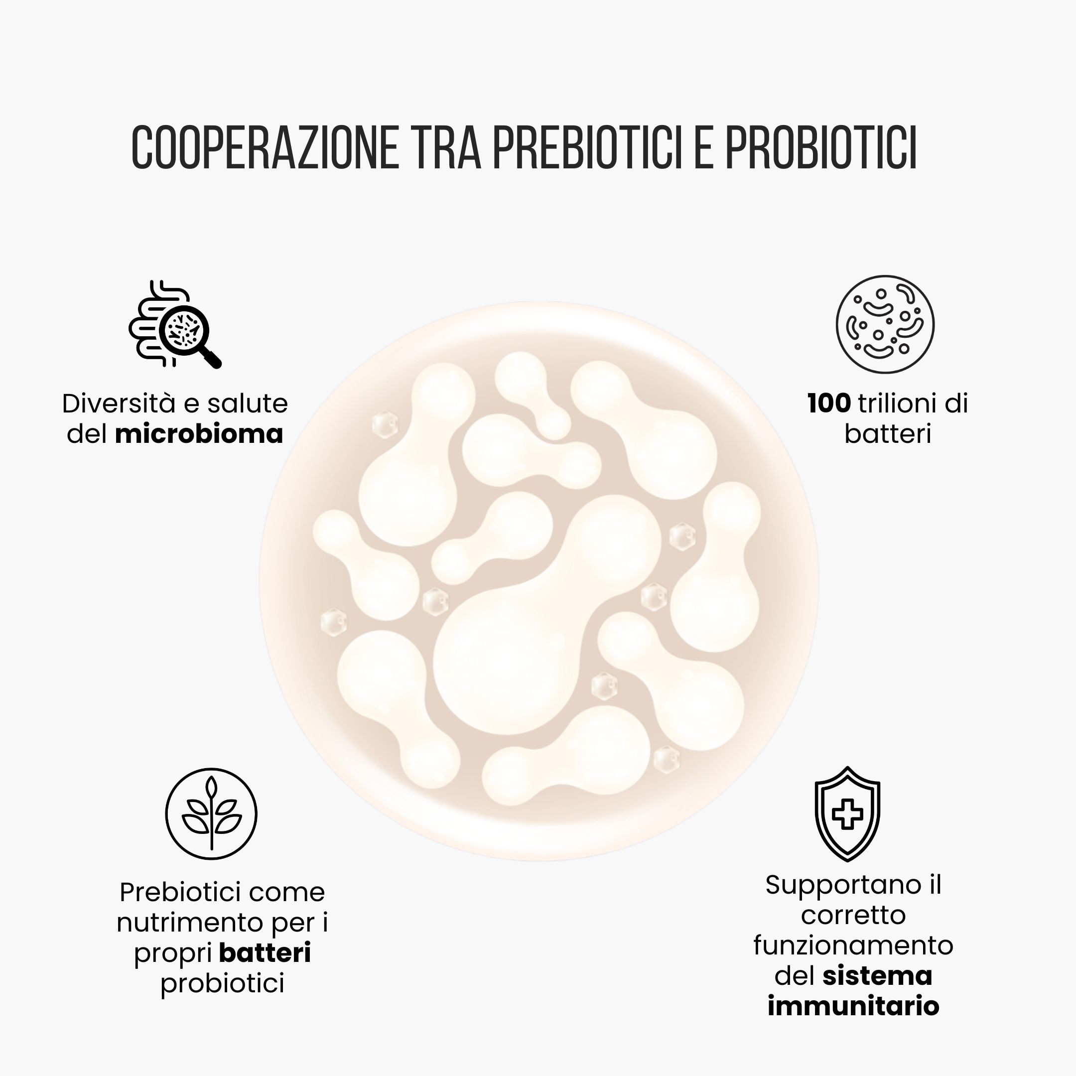 (Italština)
