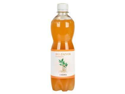 14189 1 stevikom kombucha zazvorova s medunkou bio 500ml