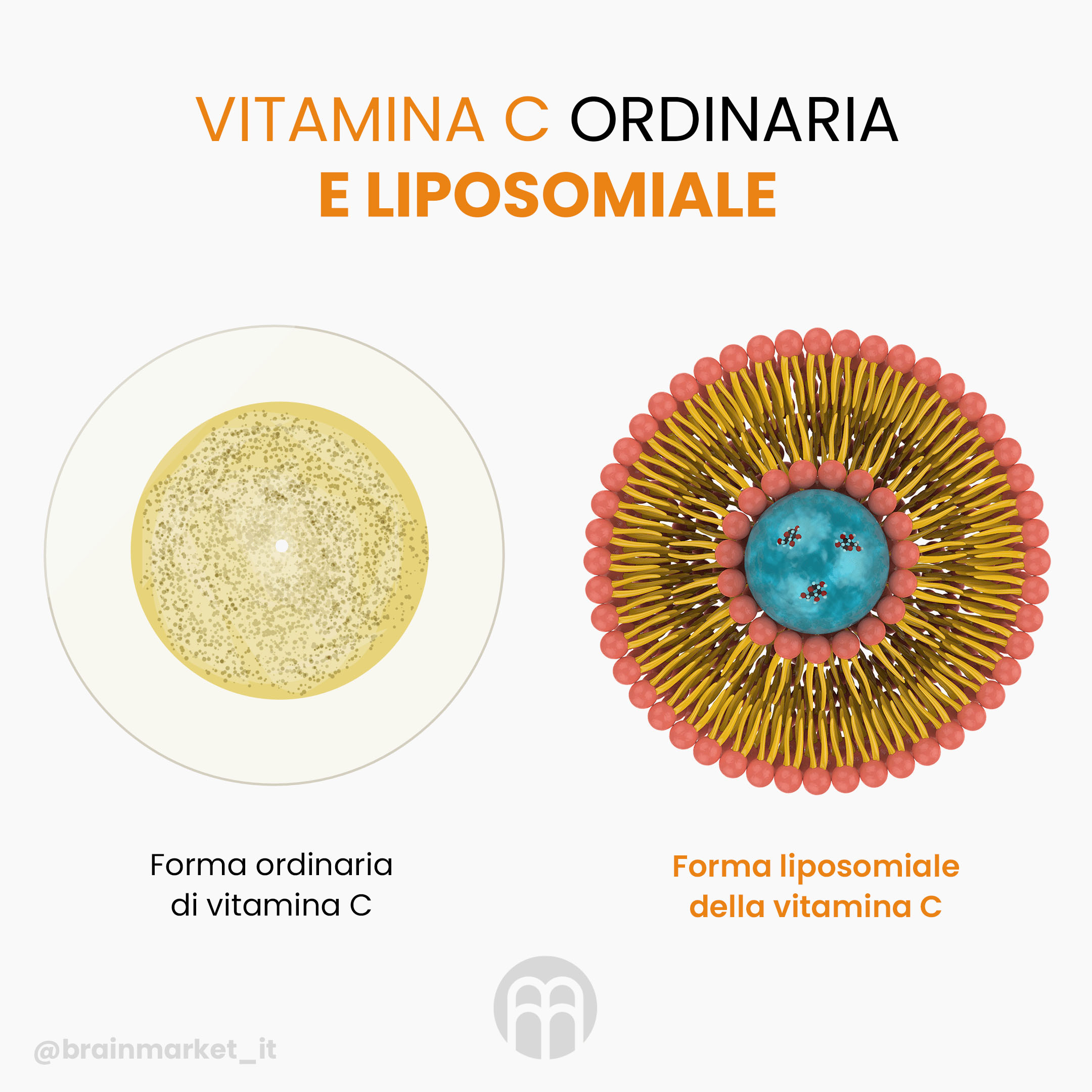 bezny vs lipo