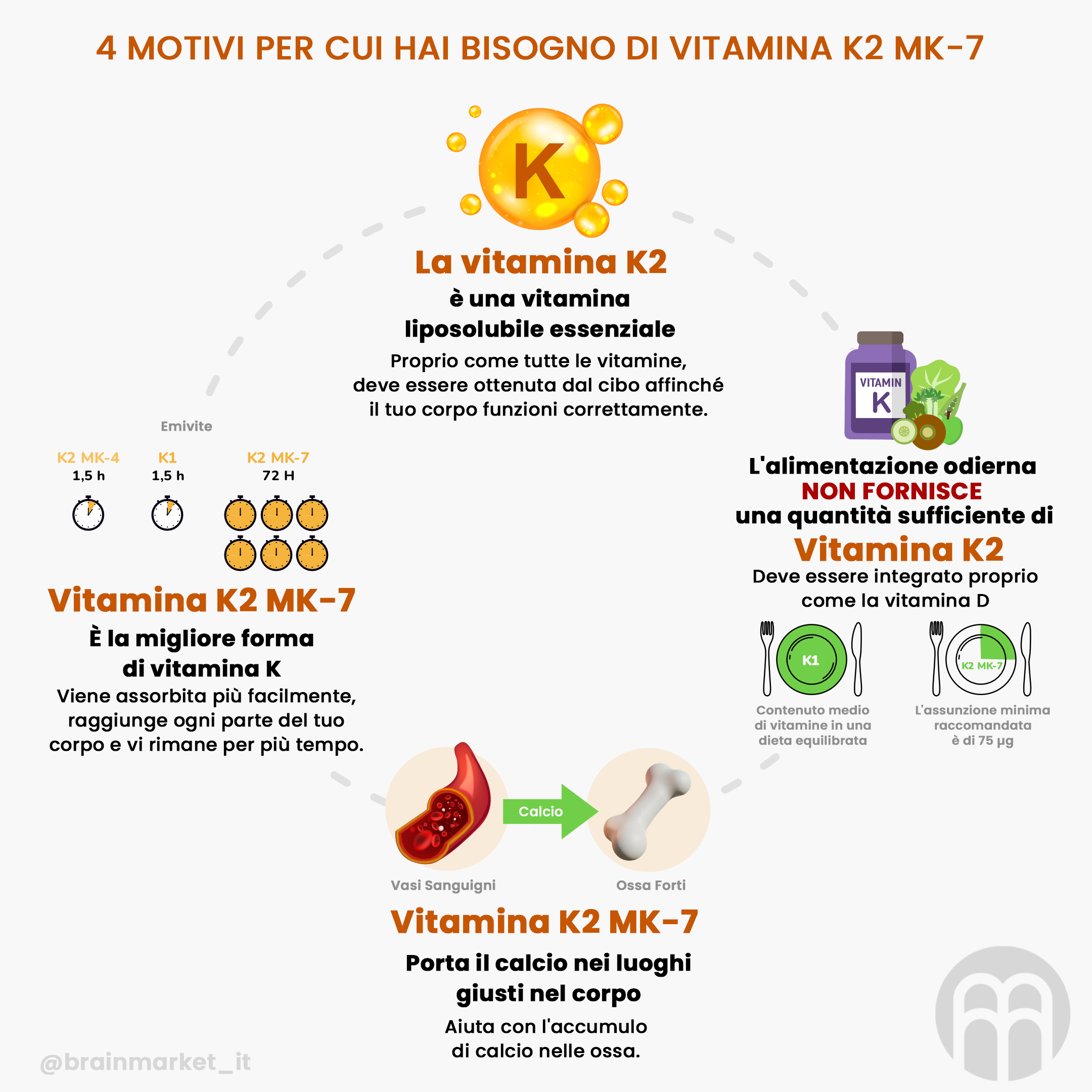 motivi per utilizzare la vitamina K2 MK-7_infogafika_cz