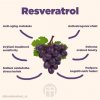 resveratrol 2x infografika brainmarket