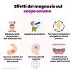 Performance Magnesium 1000 mg, campione, 4 capsule, (Magnesio 200 mg + Vitamina B6)