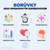 Boruvky jsou opravdovym superovocem infografika brainmarket CZ