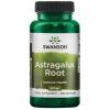 Astragalus root