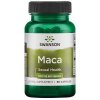 MACA