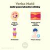 yerba mate infografika brainmarket cz