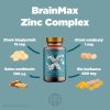 20252 10 brainmax zinc complex zinek selen med a kurkuma 100 rostlinnych kapsli