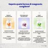 Performance Magnesium®, 1000 mg, Magnesio 200 mg + Vitamina B6, 100 capsule vegane  Il magnesio bisglicinato MagChel® a miglior assorbimento 53% VNR + Forma attiva della vitamina B6 100% VNR, integratore alimentare.