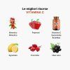 BrainMax Lipozomal Vitamin C® UPGRADE, Vitamina C liposomiale, 500 mg, 60 capsule vegetali  Integratore alimentare