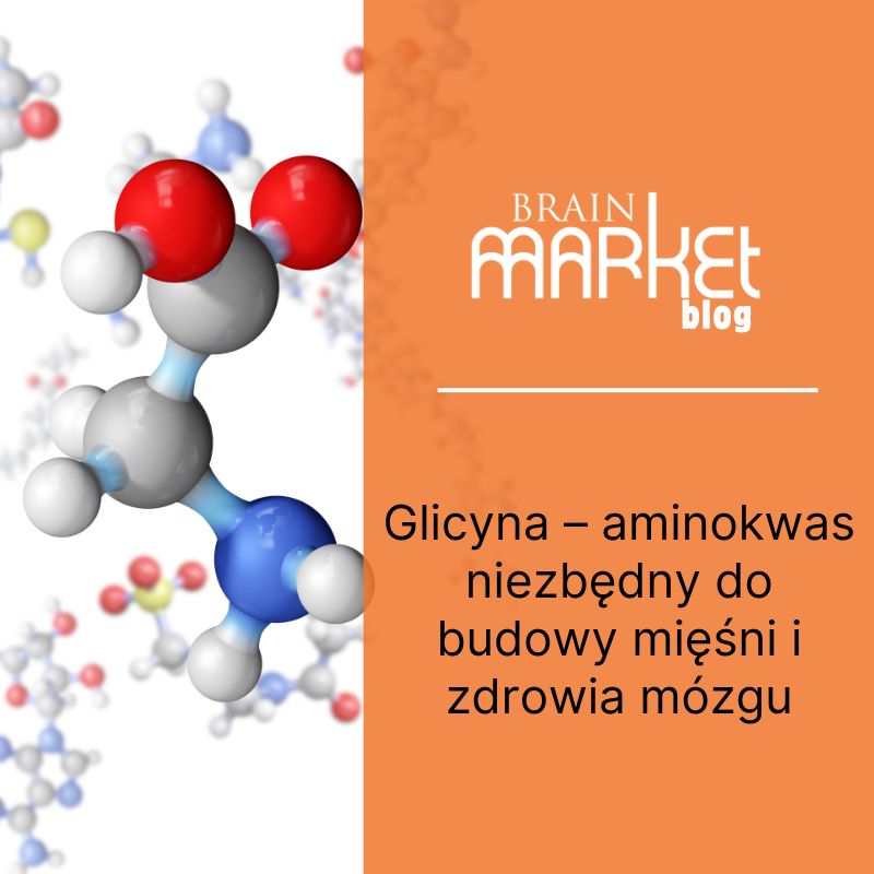 Glicyna - aminokwas do budowy mięśni i zdrowia mózgu