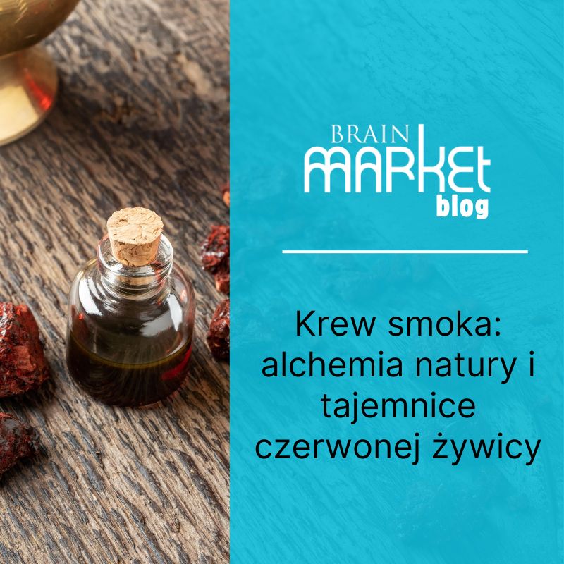 Smocza krew: Alchemia natury i tajemnice czerwonej żywicy